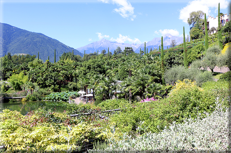 foto Giardini Trauttmansdorff - Giardini acquatici